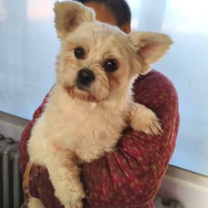 whatsapp image 2025 12 16 at 11.52.45 (1)