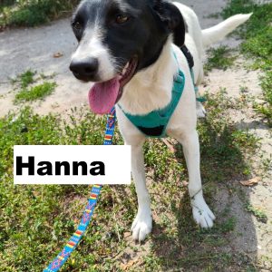 whatsapp image 2025 12 20 at 18.23.54 (2)