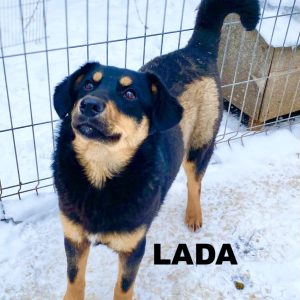 whatsapp image 2026 01 01 at 10.12.08 (1)