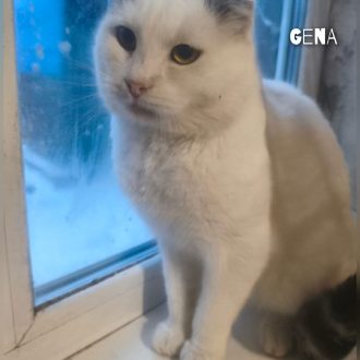 whatsapp image 2026 01 11 at 10.34.04