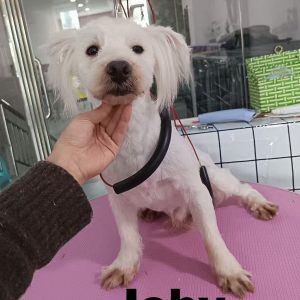 whatsapp image 2026 01 16 at 15.28.21