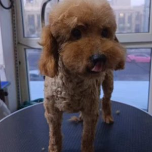 whatsapp image 2026 01 19 at 15.32.54