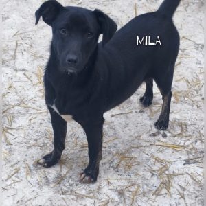 whatsapp image 2026 01 20 at 10.35.37 (1)