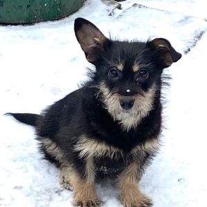 whatsapp image 2026 02 05 at 21.28.38