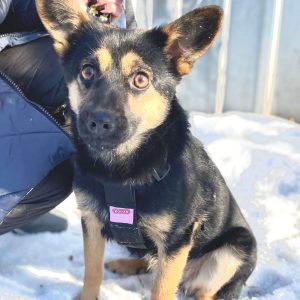 whatsapp image 2026 02 07 at 22.28.36