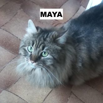 whatsapp image 2026 02 12 at 14.28.17